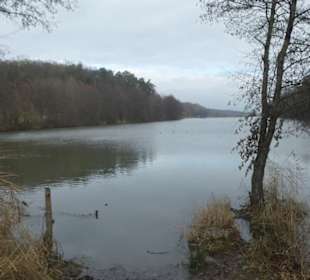Nov. 2021: Am Vorsee (vor dem Ellertshäuser See)