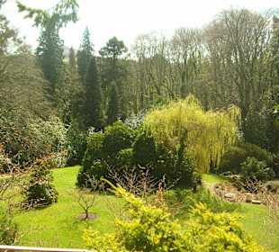 Powerscourt Garden