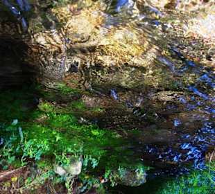 Natur pur