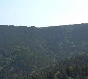 Haberer Turm Bad Griesbach
