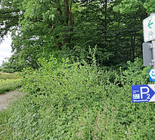 Kranichwoog Hütschenhausen in Hütschenhausen