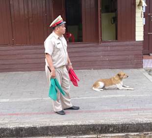 Sicherungssystem wie in Indien