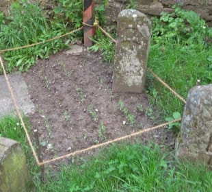 Altes Schloss Altensteig