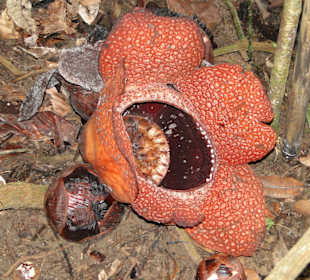 Ausflug Wildfife Expeditions