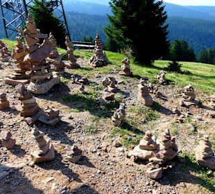 Fleißige Wanderung 