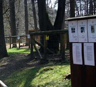  Zoologischer Garten Kaiserslautern