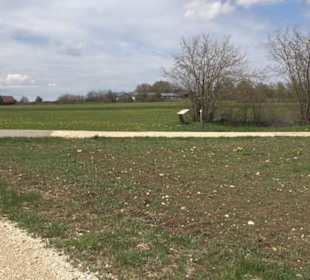 Vulkankrater-Rundweg Apfelstetten