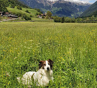 Wandern Caines / Kuens