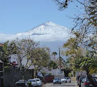 Der Teide im Schnee - Blick von El Sauzal