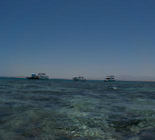 Rotes Meer/Red Sea - Hurghada
