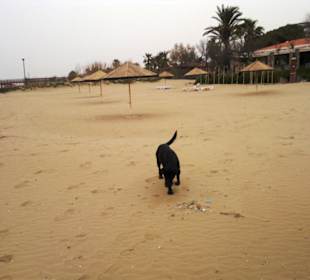 Strandpromenade im März
