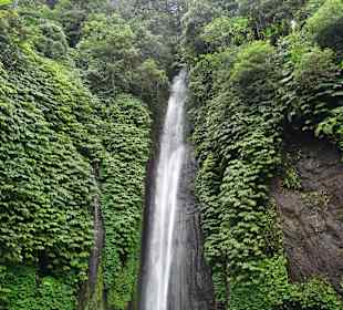 Ausflug mit Guide Otto Nusa Dua 2016: Munduk Wasserfall