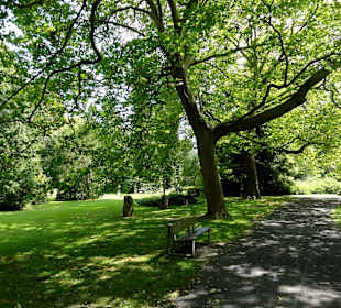 Impressionen vom Stadtfriedhof
