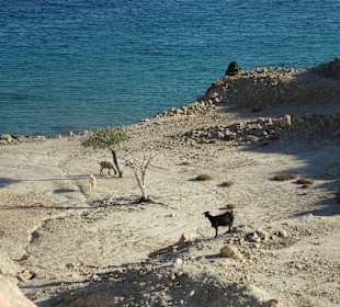 Spaziergang am Strand