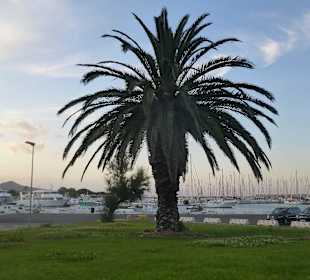 Cala Liberotto Haus 555 - La Caletta