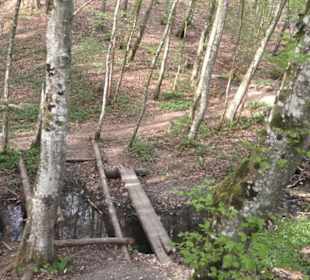 Barfußpfad Firstwald