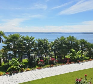 Palmenstrand Meersburg