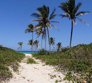 Über die Düne zum Strand