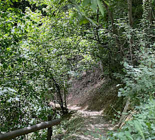 Wanderweg