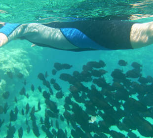 Beim Schnorcheln