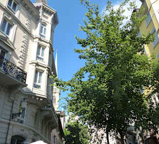 Tolle Fassaden und Gassen