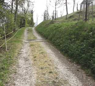 Wanderweg Hochgehswiggert