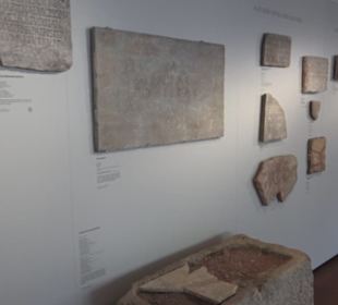 Rheinisches Landesmuseum