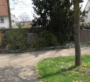 Alter Friedhof
