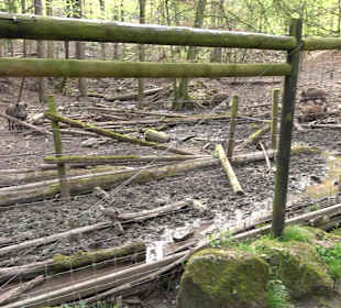 Walderlebnisweg Rottenburg