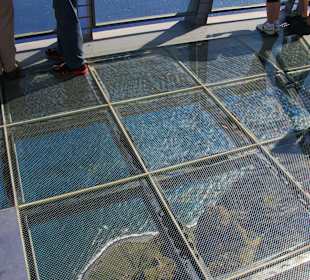 Viele trauen sich,einige aber auch nicht