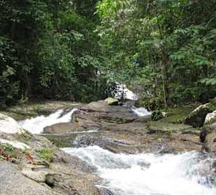Weg zum Wassefall, kurz vorm Ziel