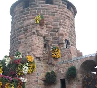 Storchenturm