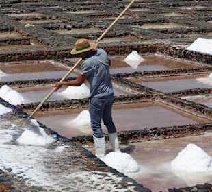 Museo de la sal Salinas del Carmen