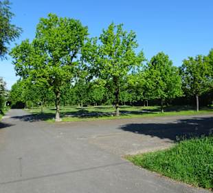 Parkplätze am Mahndorfer See