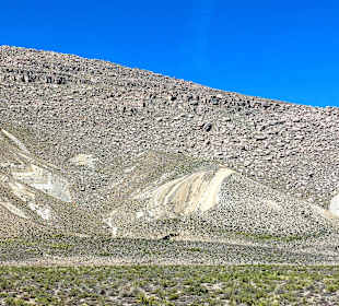 Pampa Cañahuas