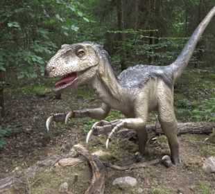 Dinosaurier Museum Altmühltal