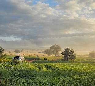 Landschaft 