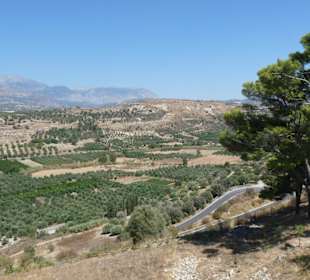 Blick auf die fruchtbare Massara Ebene