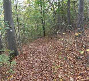 Wandertour "Rund um den Rossberg" Öschingen
