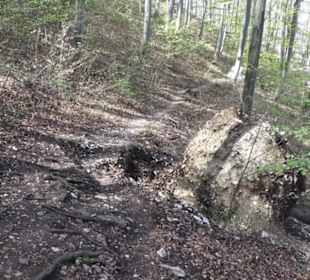 Wanderweg Hochgehkämpft