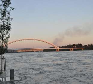 Abendstimmung an der Donau