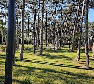Parco del Mare