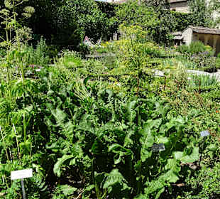 Kräutergarten