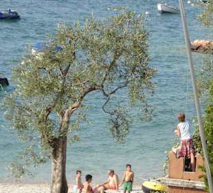 Strandpromenade Brenzone