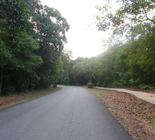 Droga do restauracji