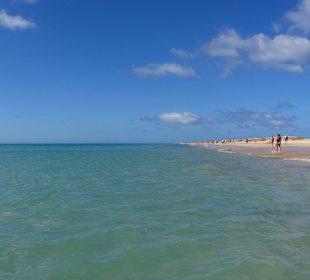 Einfach nur traumhaft 