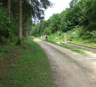 Phäno-Pfad Aichstetten