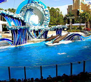 Sea World