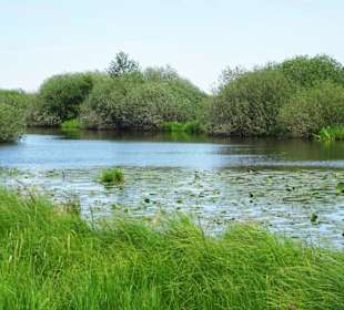Eindrücke aus dem Teufelsmoor