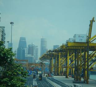 Дорога в город